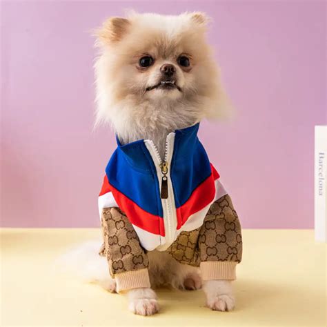 gucci dog products|gucci inspired dog clothes.